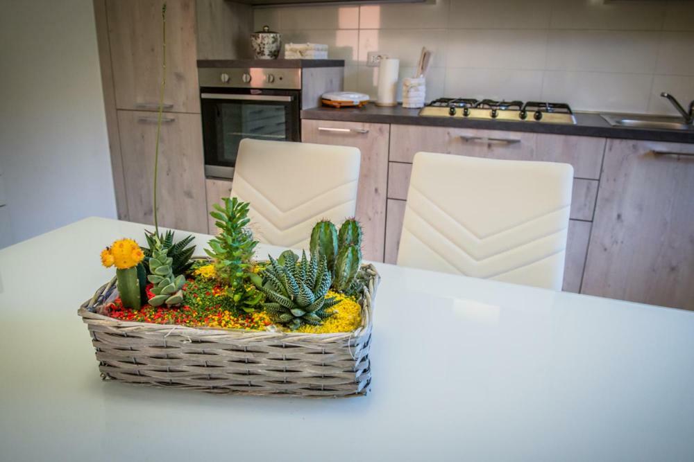 Appartamenti Vicino Al Mare ชิวิตาโนวา มาร์เค ภายนอก รูปภาพ